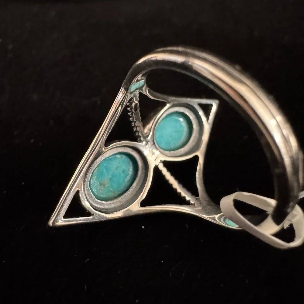 Sterling Silver Double genuine king man Turquoise Ring‎